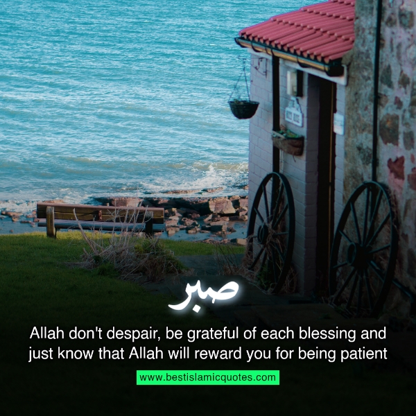 halal love sabr quotes