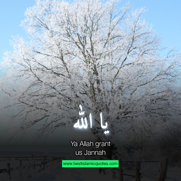 ya allah images quotes