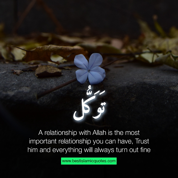 allah related quotes