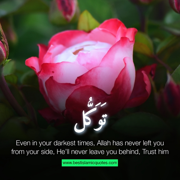 quotes of allah