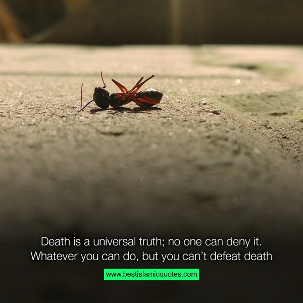 after death islamic quotes